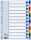 ESSELTE Register blanko A4 PP 12teilig + Deckblatt farbig