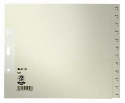 LEITZ Register A4 5ST grau BxH 24x20cm Monate Jan-Dez Packung mit