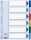 ESSELTE Register blanko A4 PP 6teilig + Deckblatt farbig