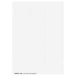 LEITZ 1900BlankoSchildchen PCbeschriftbar Karton 975...