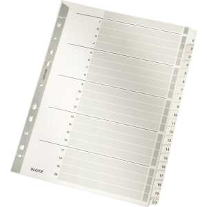 LEITZ 4326 Zahlenregister 120 A4 Karton 20Blatt grau