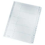 LEITZ 4328 Register AZ Karton A4 20Blatt grau