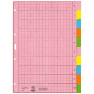 LEITZ 4340 Register blanko Papier A4 10Blatt Taben 2x 5farbig