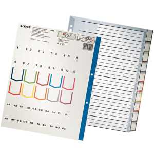 LEITZ 4370 Register PP blanko A4 Überbreite 10Blatt grau