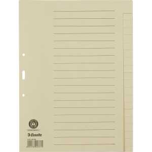 ESSELTE Register blanko A4 Papier 20Blatt grau