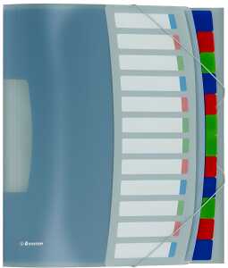 ESSELTE Ordnungsmappe VIVIDA A4 P P 12 Fächer mehrfarbig (80624030)