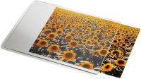 LEITZ Mousepad Personal 240x190 weiß MOUSEPAD 24X19...