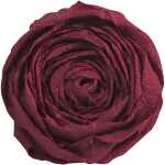 Clairefontaine Krepppapier 250x50 bordeaux