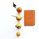 Rhodia  FlexNBuch A5 L 72Bl orange