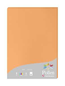 Clairefontaine Papier A4 Pollen 160g clementine 50Bl