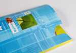 Clairefontaine Ringbucheinlagen A4 F-Lineatur 100Bl