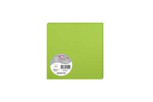 Clairefontaine Karte Pollen 135x135 210g minze