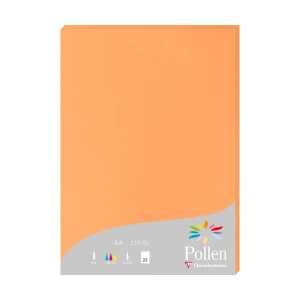 Clairefontaine Papier A4 210g clementine 25Bl