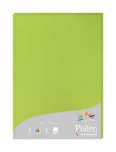 Clairefontaine Papier A4 210g minze 25Bl