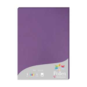 Clairefontaine Papier A4 Pollen 210g violett 25 Bl