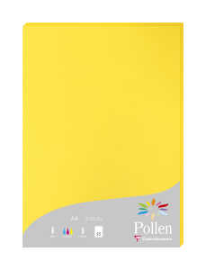 Clairefontaine Papier A4 210g sonne 25Bl