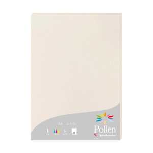 Clairefontaine Papier A4 Pollen 210g grau 25 Bl