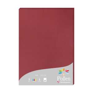 Clairefontaine Papier A4 210g bordeaux 25Bl