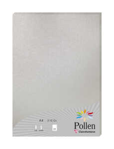 Clairefontaine Papier A4 Pollen 210g silber 25Bl