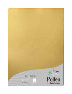 Clairefontaine Papier A4 Pollen 210g gold 25Bl