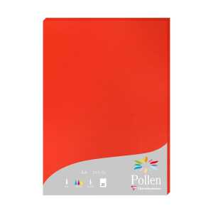 Clairefontaine Papier A4 210g korallenrot 25Bl