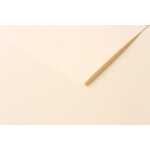 Clairefontaine Skizzenpapier elfenbein 50x65 25Bl