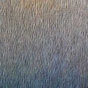 Clairefontaine 250 Bg Etiv Color MARONE 160G 50X65