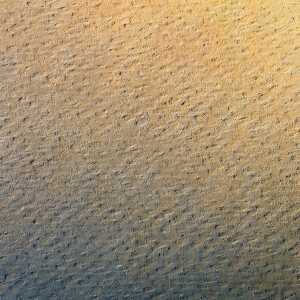 Clairefontaine Etival Col 160g 50x65 250B Butter