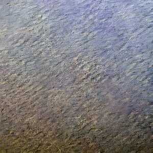 Clairefontaine Etival Col 160g 50x65 250B Ultramar