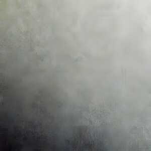 Clairefontaine Fotokarton 50x70 laubgn 125 Bogen