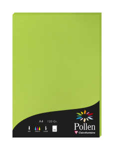 Clairefontaine Papier A4 Pollen 120g minze 50Bl