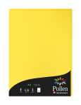 Clairefontaine Papier A4 Pollen 120g sonne 50Bl