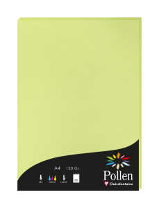 Clairefontaine Papier A4 Pollen 120g knospengrün 50Bl