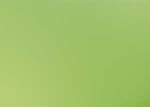 Maildor Tonpapier 130g 50x65 Rec 25 Bg minz