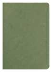 Clairefontaine Heft AgeBag A5 Leinen lin 48Bl grün