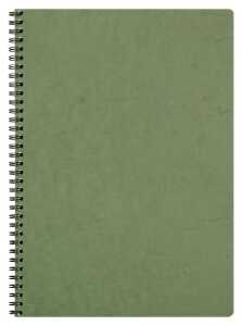 Clairefontaine Spiralbuch AgeBag A4 kar 50Bl gn