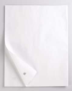 Rhodia Kraftpap 60g 1x0.7m 25Bg weiss