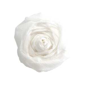 Maildor Krepppapier 10 Bg M40 2x0.5m weiss