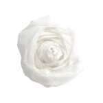 Maildor Krepppapier 10 Bg M40 2x0.5m weiss