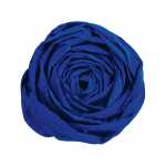 Maildor Krepppapier 10 Bg M40 2x0.5m dkl-bl