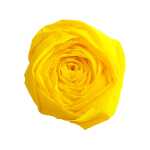 Maildor Krepppapier 10 Bg M40 2x0.5m citrusg