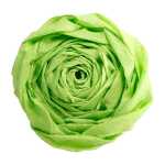 Maildor Krepppapier 10 Bg M40 2x0.5m hellgrü