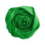 Maildor Krepppapier 10 Bg M40 2x0.5m grün