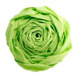 Clairefontaine Krepppapier 250x50 golf 10R