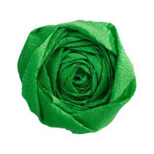 Clairefontaine Krepppapier 250x50 gn 10R