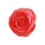 Clairefontaine Krepppapier 250x50 lachs 10R