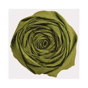 Clairefontaine Krepppapier 250x50 olivgn 10R