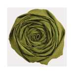 Clairefontaine Krepppapier 250x50 olivgn 10R