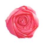 Clairefontaine Krepppapier 250x50 rosa 10R