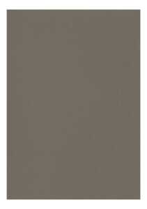 Clairefontaine Zeichenpapier A4 160g anthrazit 5B